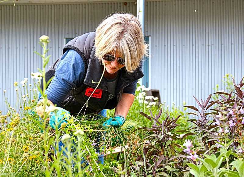 The Bee: Windermere brokers in school cleanup project