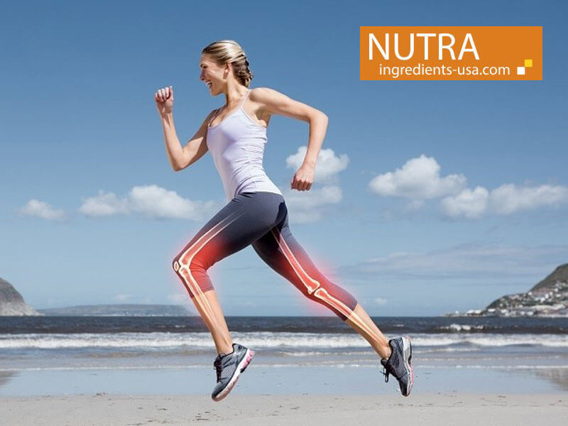 Nutra Ingredients: Can MSM make it into sports nutrition?