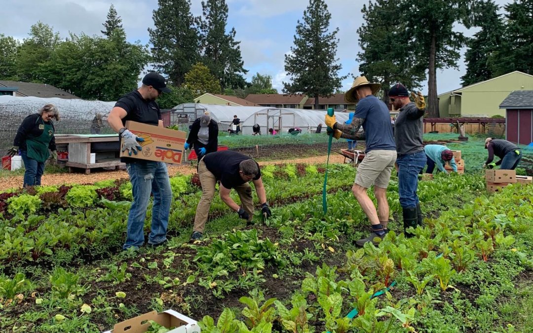 KEZI ABC: North Eugene Ninth-Graders Give Back During Day of Caring