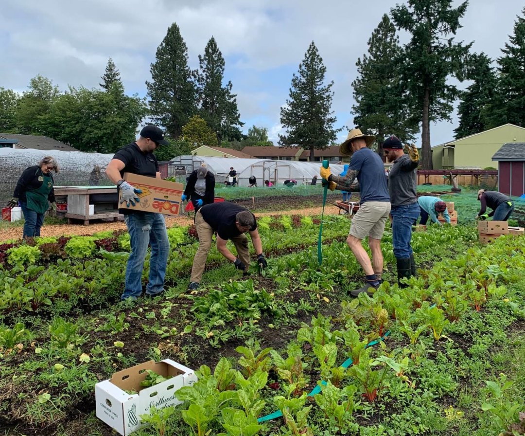 KEZI ABC: North Eugene Ninth-Graders Give Back During Day of Caring