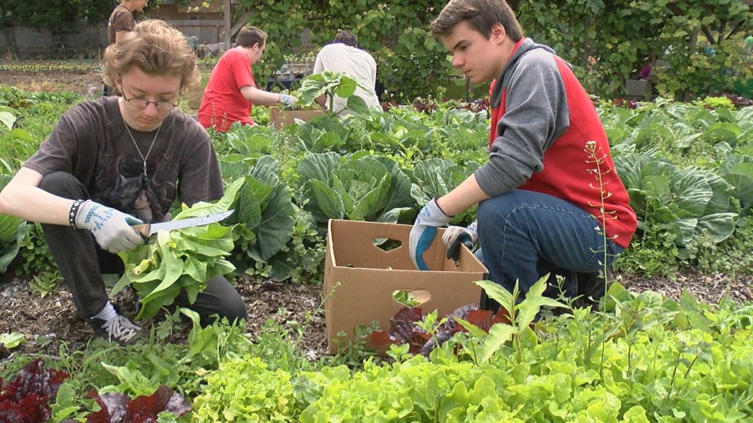 KEZI.com: North Eugene Ninth-Graders Give Back During Day of Caring