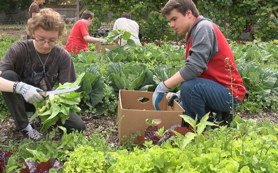 KEZI.com: North Eugene Ninth-Graders Give Back During Day of Caring